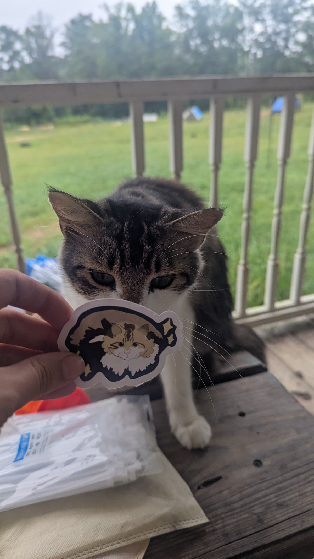 Cat Loaf Sticker